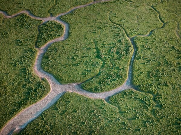 DJI MINI 3 PRO - Image 6